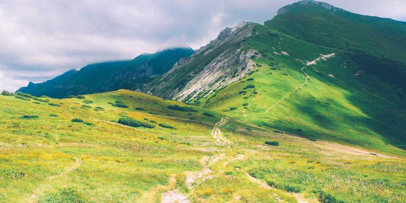 夏威夷冲浪起源地探秘：在威基基海滩向传奇“海滩男孩”致敬的文化之旅