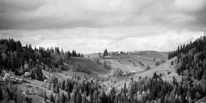 夏威夷攻略 | 中旅夏威夷带你深入可持续美食之旅：从千年芋头农场到匠心巧克力工厂