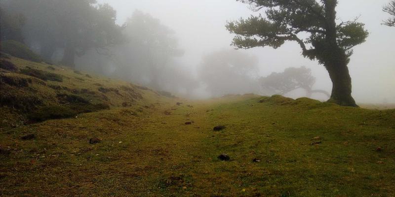 夏威夷旅游新体验：探秘古代波利尼西亚渔猎文化，解锁海洋生存智慧