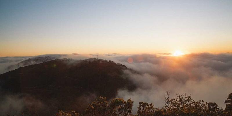 夏威夷灵魂之旅：从尤克里里工坊到草裙舞晚会，解锁音乐文化深度体验