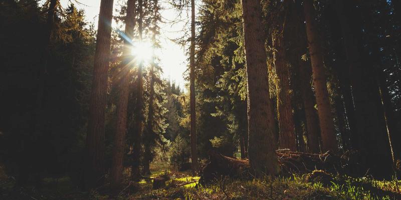 夏威夷高尔夫巡礼:在世界级海崖球场,开启一场天堂挥杆挑战