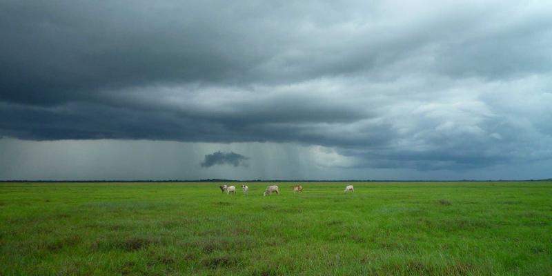 逃离人潮！欧胡岛背风海岸秘境：揭秘夏威夷最野性的瀑布与万年熔岩隧道